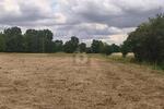 IHR NEUES KAPITEL BEGINNT HIER - Grundstück Dreiheide | Angebot:27439890