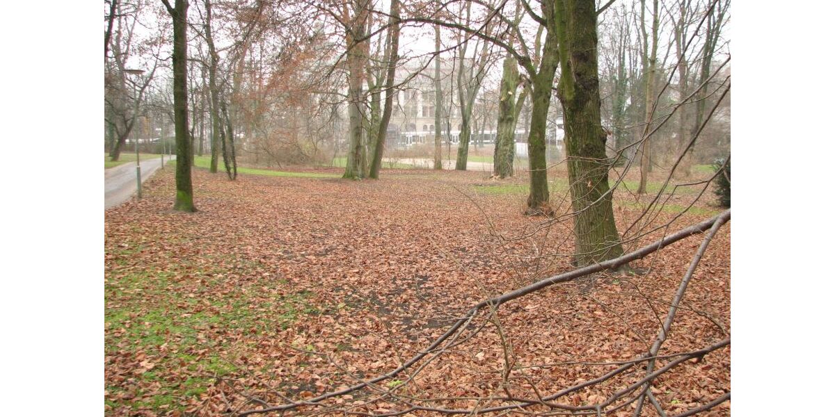 Blick Richtung Park 2