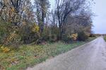 IDYLLISCHES WALDSTÜCK AM ORTSRAND - Grundstück Landsberied | Angebot:27454937