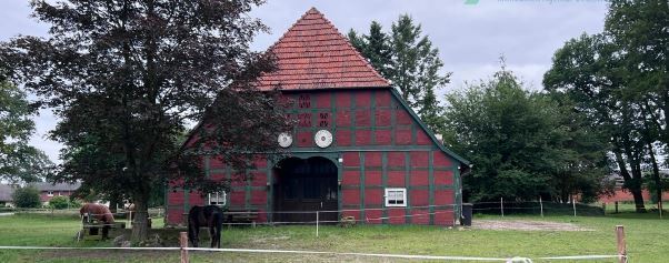 Historischer Niedersachsen- Bauernhof in Fachwerk mit Pferdeboxen u. tollen Eichenbaumbestand - Gewerbeobjekt Diepenau | Angebot:26799632