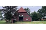 Historischer Niedersachsen- Bauernhof in Fachwerk mit Pferdeboxen u. tollen Eichenbaumbestand - Gewerbeobjekt Diepenau | Angebot:26799632