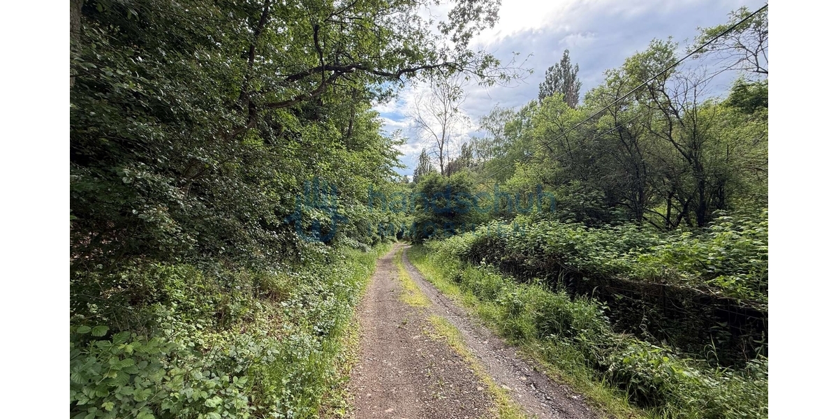 Freizeitgrundstück für ein Tinyhouse auf dem Lüssert bei Feilbingert - Grundstück Feilbingert | Angebot:26786332