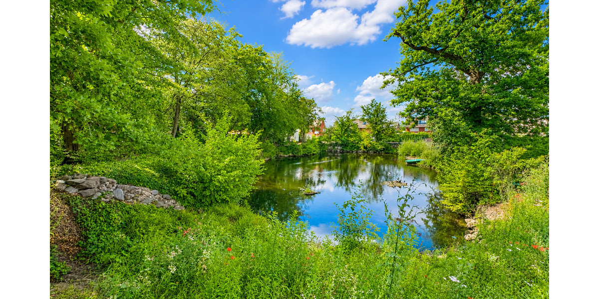 Teich