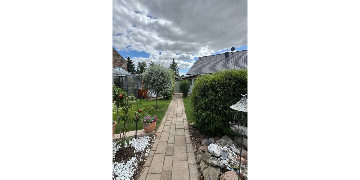 Blick in den Garten