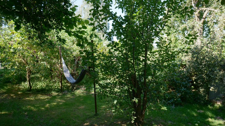 Garten-Mitte