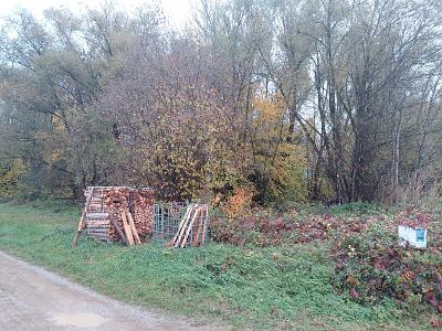 IDYLLISCHES WALDSTÜCK AM ORTSRAND - Grundstück Landsberied | Angebot:27454937