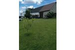 Nauroth, EFH + Nebengeb. - Einfamilienhaus Nauroth | Angebot:26888190