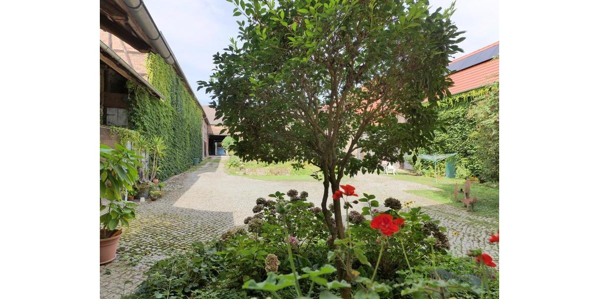 Ausblick in den grünen Innenhof