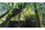 WOHNEN AM PARK - Grundstück Hamburg Farmsen-Berne Berne | Angebot:27082314