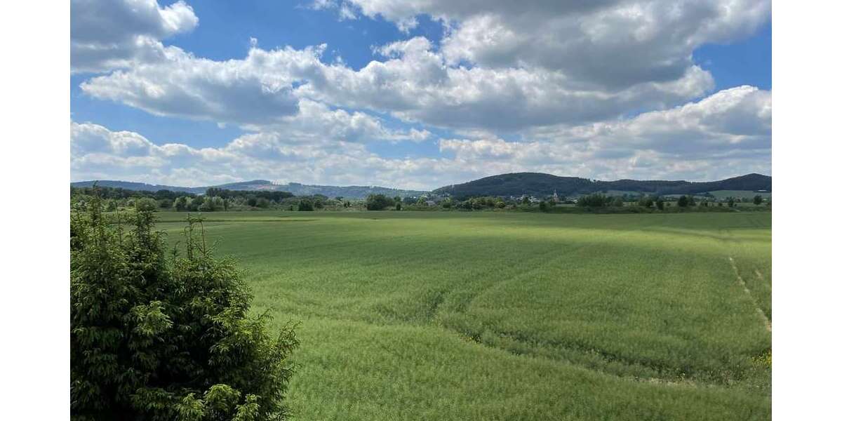 Weitblick 06