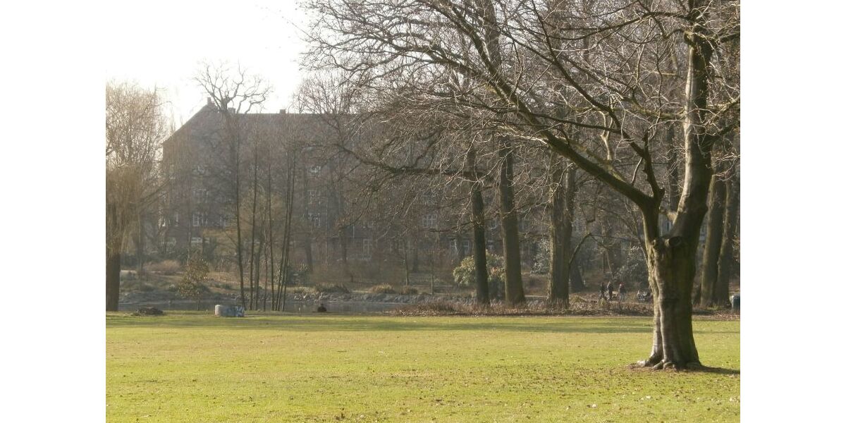 Hammer Park